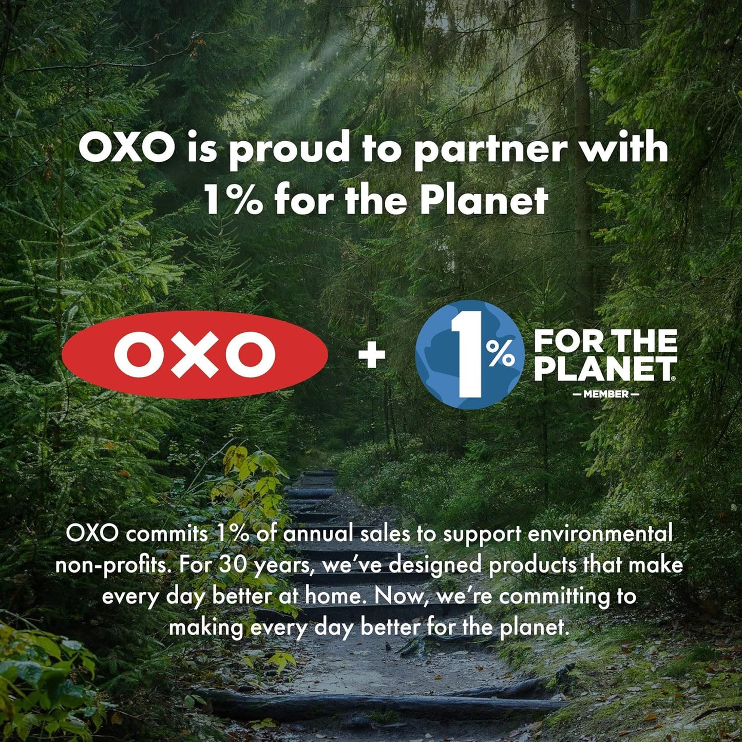 OXO Chef's Condiment Squeeze Bottles (Pack of 3) - Medium 12 oz