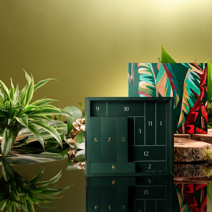 natura - Beauty Advent Calendar – 12-Piece Holiday Gift Set with Body Care, Hand Creams, Shower Gels & Hair Care Minis – Vegan & Sustainable Beauty from the Amazon ($104 value)