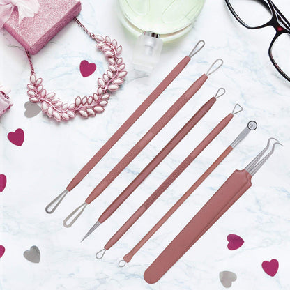 JPNK Blackhead Remover Tool Comedones Extractor Acne Removal Kit for Blemish, Whitehead Popping, 6 Pcs Zit Removing for Nose Face Tools with a Leather Bag (Pink)