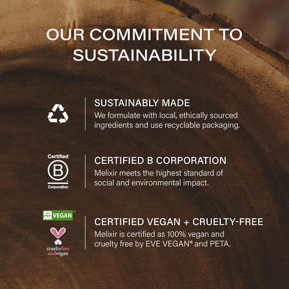 Melixir Vegan Lip Butter Duo – Holiday Stocking Stuffers for Women, Makeup Christmas Gift Set, Hydrating Tinted Chapstick, Shea Butter & Vitamin E for Dry Cracked Lips, Trendy Lip Balm Kit for Girls