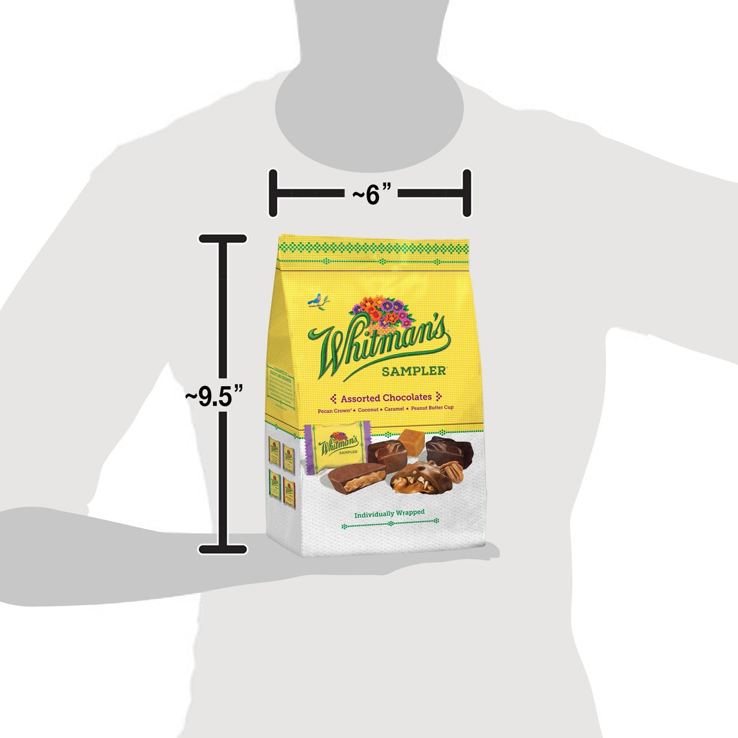 Russell Stover Whitman's Sampler Chocolate Box Assortment Box, An Assortment of Nutty, Chewy, Creamy Crispy Milk Chocolate Covered Candies and Dark Chocolate Covered Candies, 24 Ounce