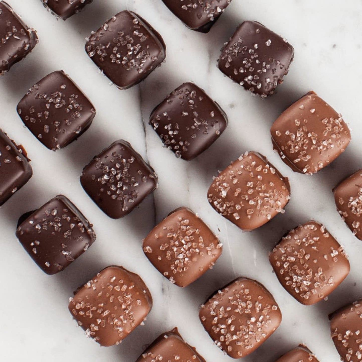 Frango Chocolates, 45-Pc. Milk and Dark Chocolate Sea Salt Caramel Box of Chocolates (1 LB)