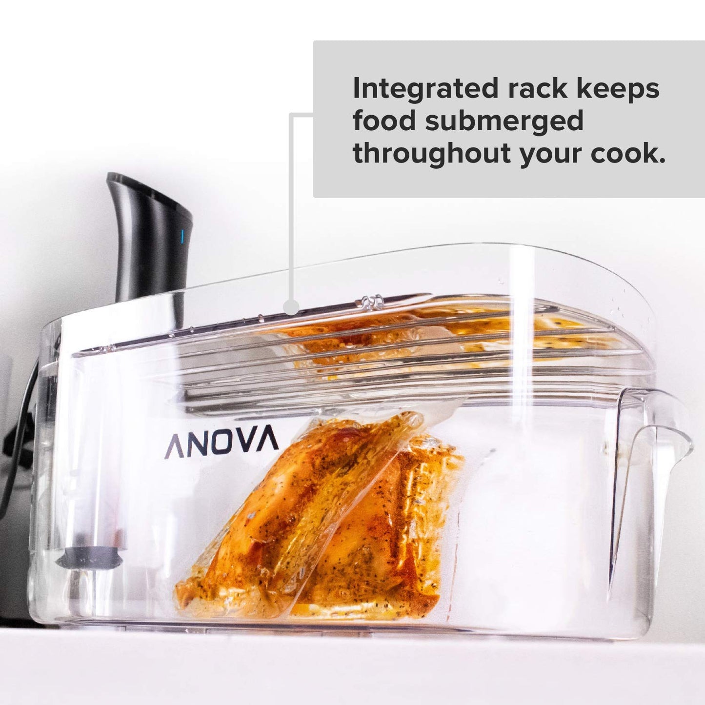 Anova Culinary ANTC01 Sous Vide Cooker Cooking container