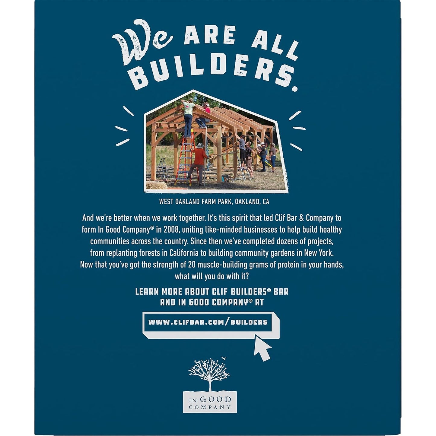 CLIF Builders - Chocolate Peanut Butter Flavor 2.4 oz. (12 Pack)