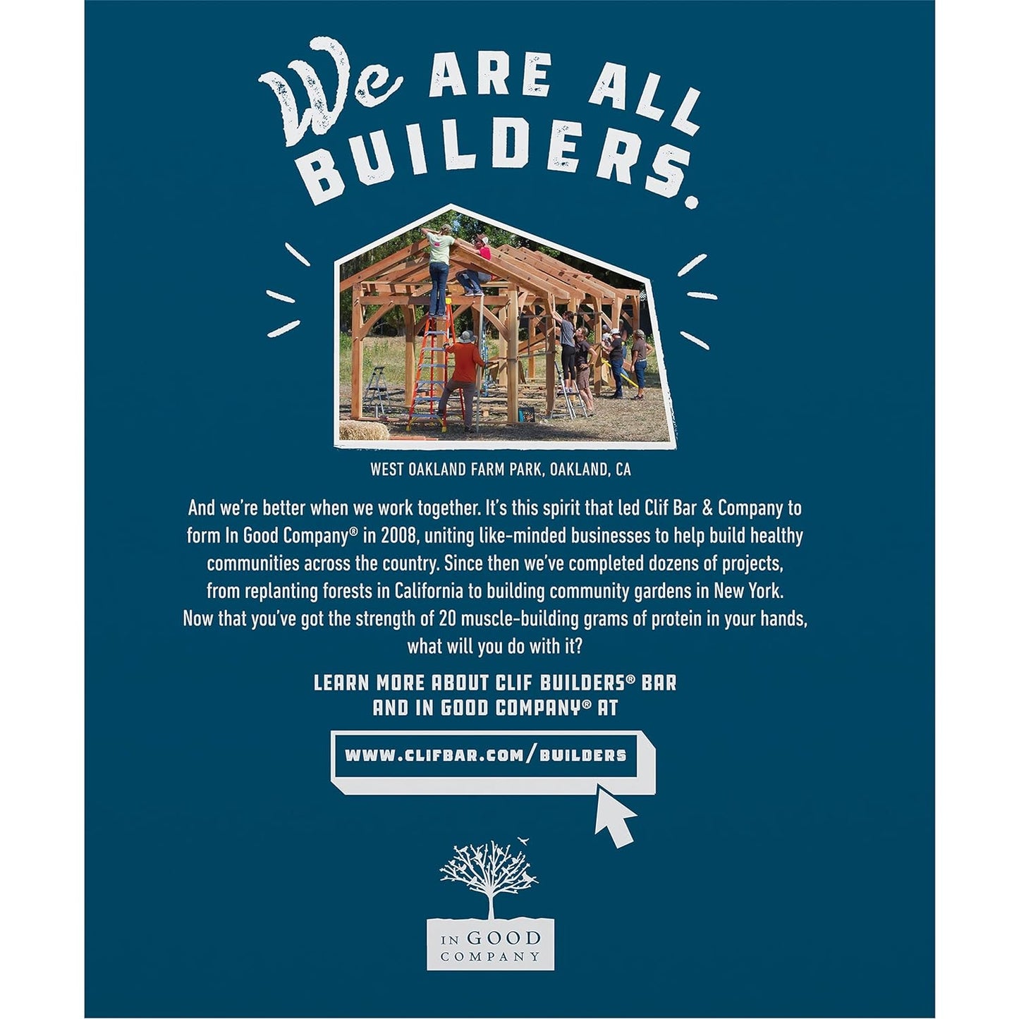 CLIF Builders - Chocolate Peanut Butter Flavor 2.4 oz. (12 Pack)