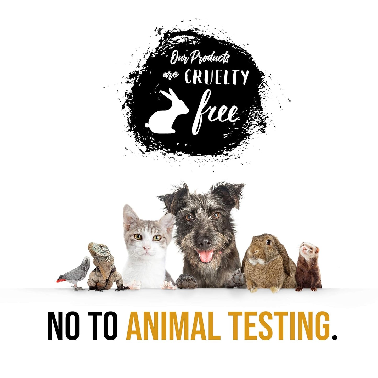 White Rose Jasmine Spa Set For Women body set