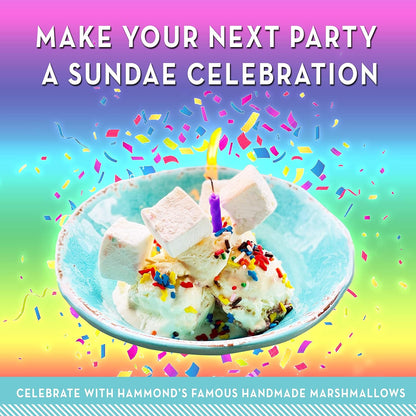 Hammond’s Candies Gourmet Marshmallows – Strawberry Creme | Great for Snacking, Hot Chocolate, S’mores, Baking | Gluten-Free, Kosher, Handcrafted in the USA | 2 Pack